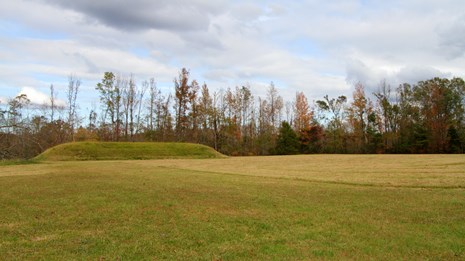 Pharr Mounds, Milepost 286.7 (U.S. National Park Service)