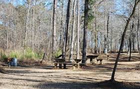 Witch Dance - Natchez Trace | NatchezTraceTravel.com | Natchez trace,  Natchez, Witches dance